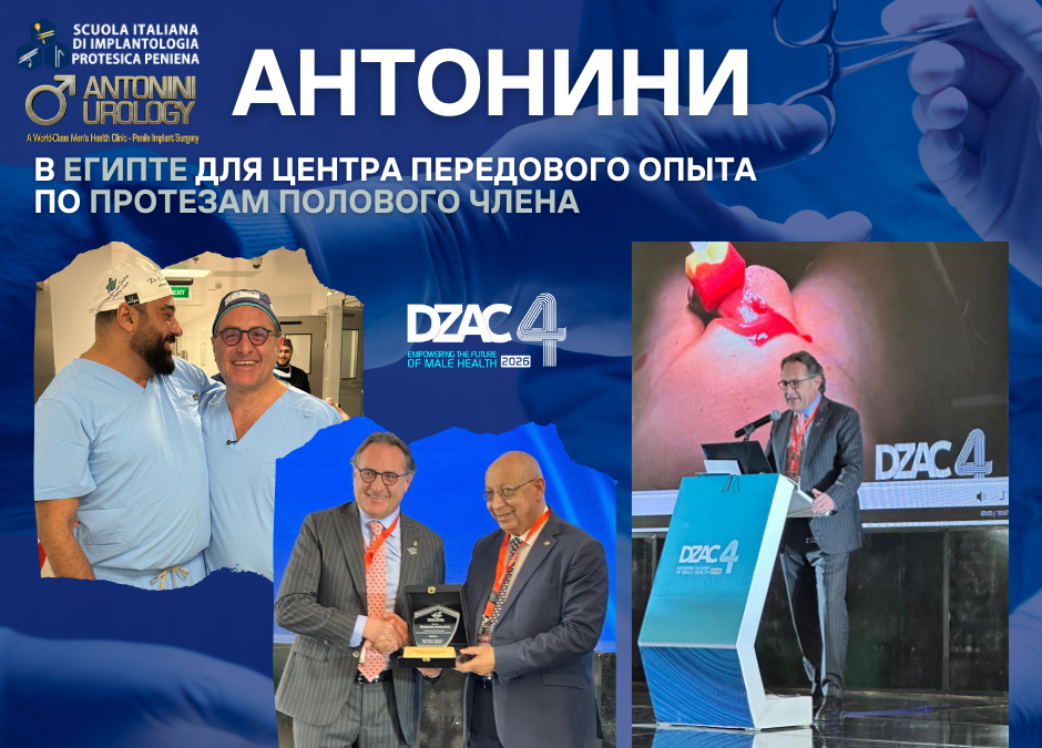 Антонини в центре внимания на DZAC4